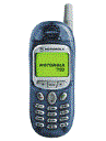 Best available price of Motorola T190 in Australia