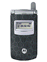 Best available price of Motorola T725 in Australia