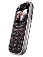 Best available price of Motorola WX288 in Australia