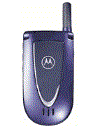 Best available price of Motorola V66i in Australia